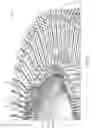Fig. 02 - Circular knitting machine for manufacturing open-work knitted fabric