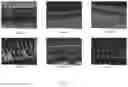 Fig. 06 - Highly aligned and packed hollow fiber assembly