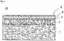 Fig. 02 - Grain-finished leather-like sheet and evaluation method for grain-finished leather-like sheet