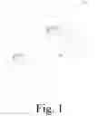Fig. 02 - Handrail Bracket
