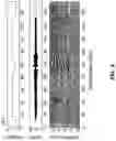Fig. 04 - DETECTING OPERATIONAL ANOMALIES FOR CONTINUOUS HYDRAULIC FRACTURING MONITORING
