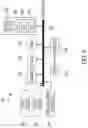 Fig. 10 - AUTOMATED WELL PERFORMANCE EVALUATION AND PRODUCTION OPTIMIZATION