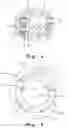 Fig. 02 - Element for compressing or expanding a gas and method for controlling such element