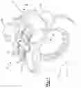 Fig. 02 - Brake assembly having a guide pin assembly