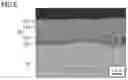 Fig. 06 - Spring steel wire