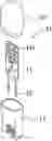 Fig. 01 - Lighting apparatus