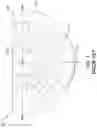 Fig. 02 - LED luminaire assembly with uplight and sidelight lens