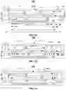 Fig. 02 - Frequency lock in active MEMS cooling systems