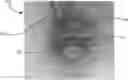 Fig. 01 - Phased array radar for fluid sensing