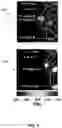 Fig. 08 - Microscale in-situ imaging of dynamic temperature and deformation fields