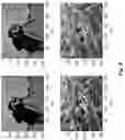 Fig. 15 - Totagraphy: coherent diffractive/digital information reconstruction by iterative phase recovery using special masks