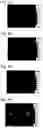 Fig. 06 - Stress distribution image processing device