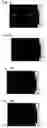 Fig. 10 - Stress distribution image processing device