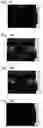 Fig. 17 - Stress distribution image processing device