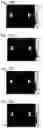 Fig. 22 - Stress distribution image processing device