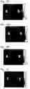 Fig. 23 - Stress distribution image processing device