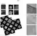 Fig. 06 - CONTRAST SOLUTION FOR THE CHARACTERISATION OF BIOLOGICAL SAMPLES BY ELECTRON OR CORRELATIVE MICROSCOPY