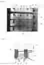 Fig. 08 - BIOREACTOR DEVICE