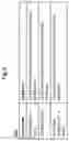 Fig. 09 - Particle beam experiment data analysis device