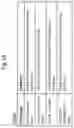 Fig. 19 - Particle beam experiment data analysis device