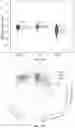 Fig. 19 - MICROFLUIDIC DEVICE FOR SINGLE CELL PROCESSING AND METHOD AND SYSTEM FOR SINGLE CELL BIOPHYSICAL PHENOTYPING USING THE MICROFLUIDIC DEVICE