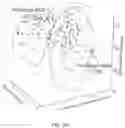 Fig. 24 - MICROFLUIDIC DEVICE FOR SINGLE CELL PROCESSING AND METHOD AND SYSTEM FOR SINGLE CELL BIOPHYSICAL PHENOTYPING USING THE MICROFLUIDIC DEVICE