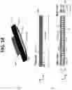 Fig. 14 - Micro-lens systems for particle processing systems