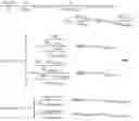 Fig. 12 - White blood cell population dynamics