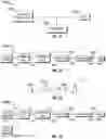 Fig. 17 - Spectroscopic devices, systems, and methods for optical sensing of molecular species