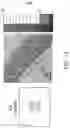 Fig. 14 - In situ measurement of absolute concentrations by normalized Raman imaging
