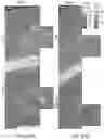 Fig. 23 - In situ measurement of absolute concentrations by normalized Raman imaging