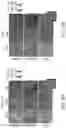 Fig. 25 - In situ measurement of absolute concentrations by normalized Raman imaging