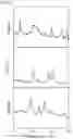 Fig. 02 - Method for expressing numerical information
