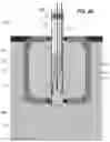 Fig. 05 - Sensor with rotatable sensor element and pressure equalization mechanism