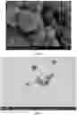 Fig. 03 - Method for detecting an okadaic acid based on a near-infrared photoelectric composite material