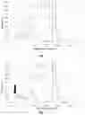 Fig. 02 - Method for measurement of hemoglobin