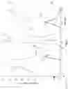 Fig. 08 - Agnostic compound elution determination