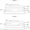 Fig. 07 - INTERFERENT AND BASELINE DRIFT CORRECTING SENSOR SYSTEM