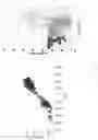 Fig. 04 - Marker for screening and identifying not-from-concentrate apple juice based on non-targeted metabolomics and use thereof