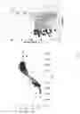 Fig. 07 - Marker for screening and identifying not-from-concentrate apple juice based on non-targeted metabolomics and use thereof