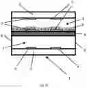 Fig. 02 - MICROFLUIDIC DEVICE FOR MEASURING CELL IMPEDANCE AND TRANSEPITHELIAL ELECTRICAL RESISTANCE