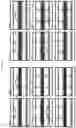 Fig. 13 - MICROFLUIDIC DEVICE FOR MEASURING CELL IMPEDANCE AND TRANSEPITHELIAL ELECTRICAL RESISTANCE