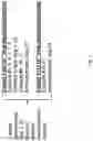 Fig. 03 - RAPID T-CELL ASSAY FOR SARS-COV-2
