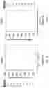 Fig. 06 - RAPID T-CELL ASSAY FOR SARS-COV-2