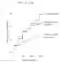 Fig. 12 - GENETICALLY ENCODED CELL DEATH INDICATORS AND METHODS OF USE