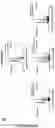 Fig. 19 - CARDIOMYOCYTE PROLIFERATION