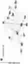 Fig. 21 - CARDIOMYOCYTE PROLIFERATION