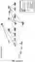 Fig. 22 - CARDIOMYOCYTE PROLIFERATION