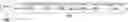 Fig. 01 - SINGLE CELL SECRETOME ANALYSIS