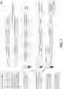 Fig. 03 - SINGLE CELL SECRETOME ANALYSIS